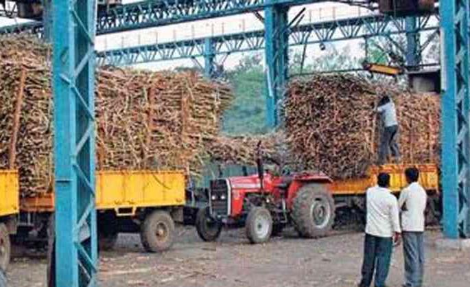 Half of sugar factories closed this year due to low sugarcane production; | यंदा निम्मे साखर कारखाने कमी ऊस उत्पादनामुळे बंद; साखर परिषदेस सुरुवात
