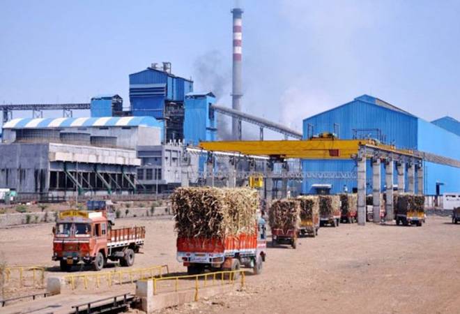 Sugarcane is not forecast due to the dry season in the state | ऊसक्षेत्राचा अंदाज नसल्याने राज्यातील गाळप हंगाम स्लो Sugarcane is not forecast due to the dry season in the state | ऊसक्षेत्राचा अंदाज नसल्याने राज्यातील गाळप हंगाम स्लो