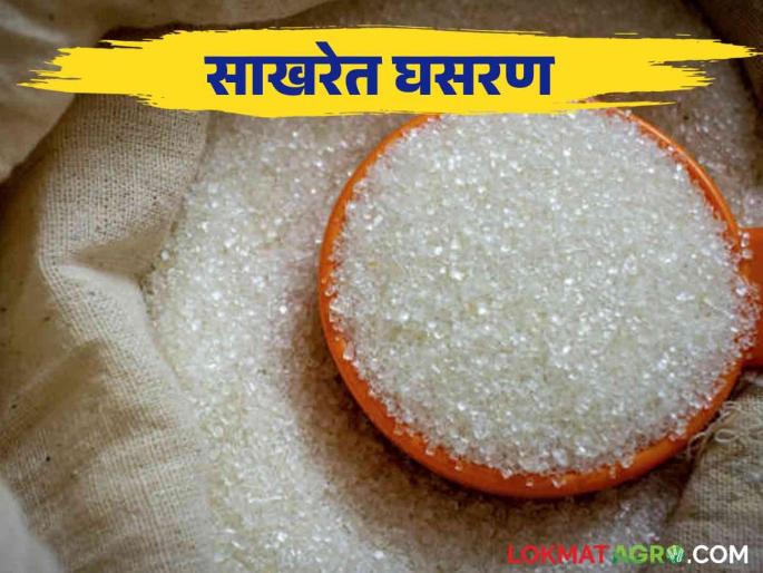 Sugar Price : Decline in sugar price on Diwali 22 lakh ton sales target in November | Sugar Price : ऐन दिवाळीत साखरेच्या दरात घसरण नोव्हेंबरमध्ये २२ लाख टन विक्रीचे लक्ष्य Sugar Price : Decline in sugar price on Diwali 22 lakh ton sales target in November | Sugar Price : ऐन दिवाळीत साखरेच्या दरात घसरण नोव्हेंबरमध्ये २२ लाख टन विक्रीचे लक्ष्य