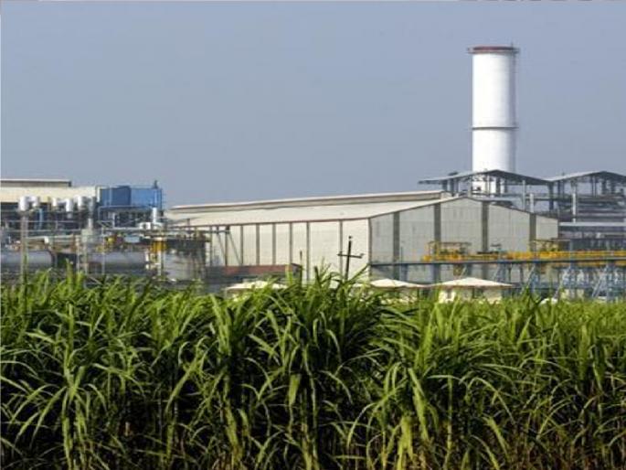 The reliable sugar factory at Farale in Radhanagari taluka is closed for this season | कोल्हापूर: फराळे कारखान्याचा हंगाम बंद झाल्याने तीनशे तरुण बेरोजगार, शेतकऱ्यांनाही बसणार फटका The reliable sugar factory at Farale in Radhanagari taluka is closed for this season | कोल्हापूर: फराळे कारखान्याचा हंगाम बंद झाल्याने तीनशे तरुण बेरोजगार, शेतकऱ्यांनाही बसणार फटका