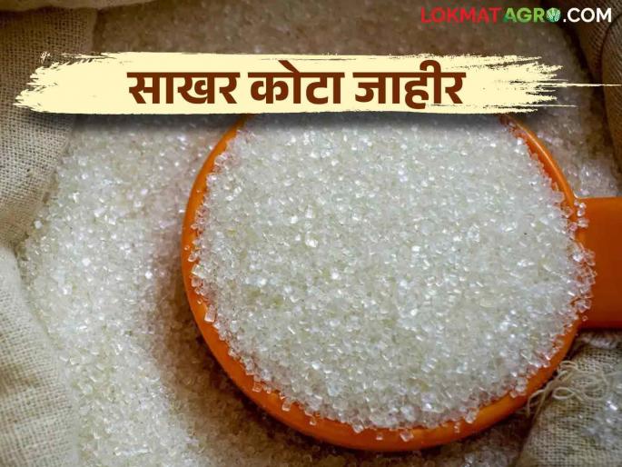 Sugar Price in India : September Sugar Quota announced by the Central Government read in detail | Sugar Price in India : केंद्राकडून सप्टेंबरचा साखर कोटा जाहीर.. कसा राहील दर Sugar Price in India : September Sugar Quota announced by the Central Government read in detail | Sugar Price in India : केंद्राकडून सप्टेंबरचा साखर कोटा जाहीर.. कसा राहील दर