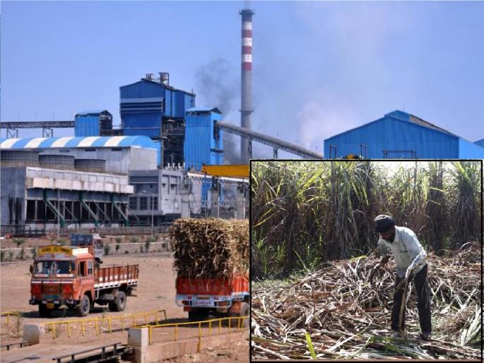 Sugar factories in Satara district cheated farmers by showing low recovery, Allegation of Swabhimani Shetkari Saghtana | रिकव्हरी कमी दाखवून शेतकऱ्यांच्या घामाच्या दामावर कारखानदारांचा दरोडा, ‘स्वाभिमानी’चा आरोप Sugar factories in Satara district cheated farmers by showing low recovery, Allegation of Swabhimani Shetkari Saghtana | रिकव्हरी कमी दाखवून शेतकऱ्यांच्या घामाच्या दामावर कारखानदारांचा दरोडा, ‘स्वाभिमानी’चा आरोप