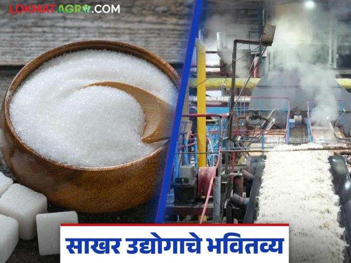Candidates of cooperative sugar factories barely pass the executive director exam; What will happen to the sugar industry? | कार्यकारी संचालक परीक्षेत सहकारी साखर कारखान्यांचे उमेदवार काठावर पास; साखर उद्योगाचे कसे होणार? Candidates of cooperative sugar factories barely pass the executive director exam; What will happen to the sugar industry? | कार्यकारी संचालक परीक्षेत सहकारी साखर कारखान्यांचे उमेदवार काठावर पास; साखर उद्योगाचे कसे होणार?