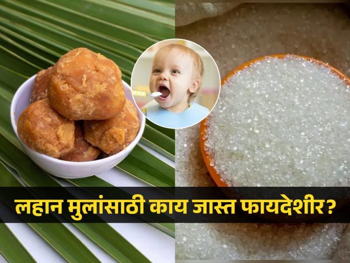 Sugar or jaggery, which is more beneficial for childrens, know what doctor says | साखर की गूळ चिमुकल्यांसाठी काय जास्त फायदेशीर? डॉक्टरांनी सांगितला बाळांसाठी बेस्ट पर्याय