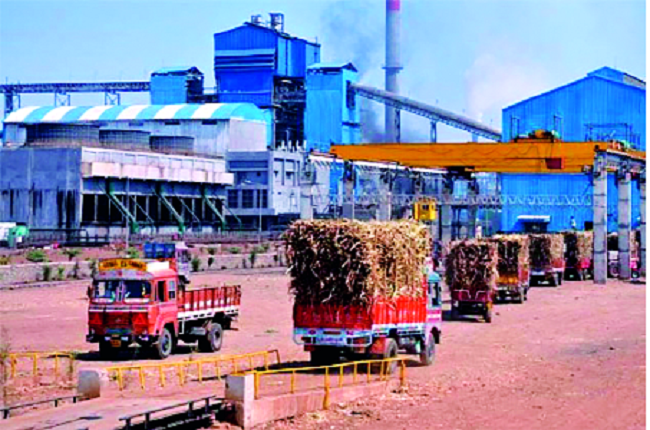 3 sugar factories season ended | राज्यातील १३ साखर कारखान्यांचा हंगाम आटोपला 3 sugar factories season ended | राज्यातील १३ साखर कारखान्यांचा हंगाम आटोपला