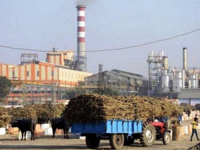 Relief for diabetics! Sanjeevani factory is making sugar free sugar, it will be sweet; But 'sugar' will not increase | मधुमेहींसाठी दिलासा! संजीवनी कारखाना बनवतोय शुगर फ्री साखर , गोड लागेल; परंतु ‘शुगर’ नाही वाढणार Relief for diabetics! Sanjeevani factory is making sugar free sugar, it will be sweet; But 'sugar' will not increase | मधुमेहींसाठी दिलासा! संजीवनी कारखाना बनवतोय शुगर फ्री साखर , गोड लागेल; परंतु ‘शुगर’ नाही वाढणार