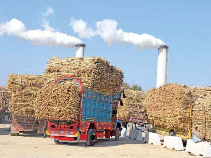 Sugar mills will have to face a strike before the sugar season | गाळप हंगामापूर्वी साखर कारखान्यांना करावा लागणार संपाचा सामना Sugar mills will have to face a strike before the sugar season | गाळप हंगामापूर्वी साखर कारखान्यांना करावा लागणार संपाचा सामना
