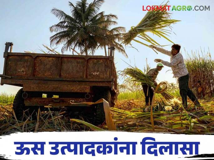 Sugar factory : The wait is over for sugarcane growers in the state; Read the details of the transport rates of the factories | Sugar factory : राज्यातील ऊस उत्पादकांची संपली प्रतीक्षा ; कारखान्यांचे वाहतूक दर जाहीर वाचा सविस्तर Sugar factory : The wait is over for sugarcane growers in the state; Read the details of the transport rates of the factories | Sugar factory : राज्यातील ऊस उत्पादकांची संपली प्रतीक्षा ; कारखान्यांचे वाहतूक दर जाहीर वाचा सविस्तर