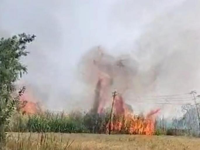 12 acres of sugarcane burnt loss 15 to 16 lakhs in dehu | देहूत १२ एकर ऊस जळून खाक, १५ ते १६ लाखांचे नुकसान 12 acres of sugarcane burnt loss 15 to 16 lakhs in dehu | देहूत १२ एकर ऊस जळून खाक, १५ ते १६ लाखांचे नुकसान
