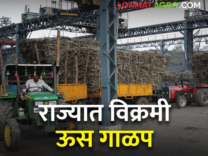 sugarcane crushing status in the state; Which factory did how much crushing? | राज्यातील ऊस गाळप; कोणत्या कारखान्याने केले किती गाळप? sugarcane crushing status in the state; Which factory did how much crushing? | राज्यातील ऊस गाळप; कोणत्या कारखान्याने केले किती गाळप?