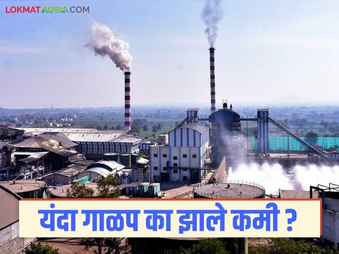 This year, the income earned by farmers in the state from sugarcane crushing will be hit by Rs 15,000 crore | यंदा राज्यातील शेतकऱ्यांना ऊस गाळपातून मिळणाऱ्या रकमेला १५ हजार कोटी रुपयांचा फटका This year, the income earned by farmers in the state from sugarcane crushing will be hit by Rs 15,000 crore | यंदा राज्यातील शेतकऱ्यांना ऊस गाळपातून मिळणाऱ्या रकमेला १५ हजार कोटी रुपयांचा फटका