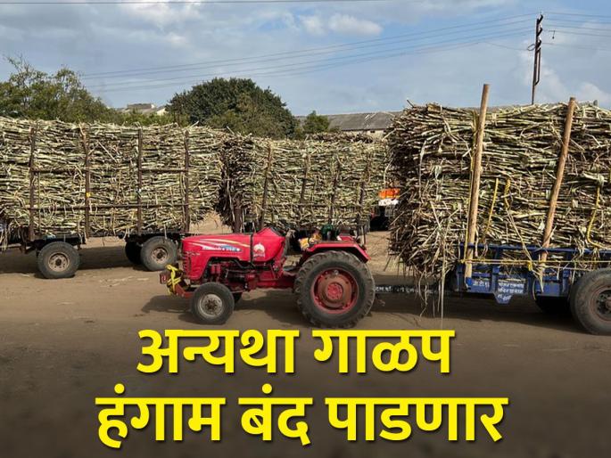 Pay Rs 400 per tonne more than FRP for sugarcane | एफआरपीपेक्षा टनाला ४०० रुपये जास्त द्या Pay Rs 400 per tonne more than FRP for sugarcane | एफआरपीपेक्षा टनाला ४०० रुपये जास्त द्या