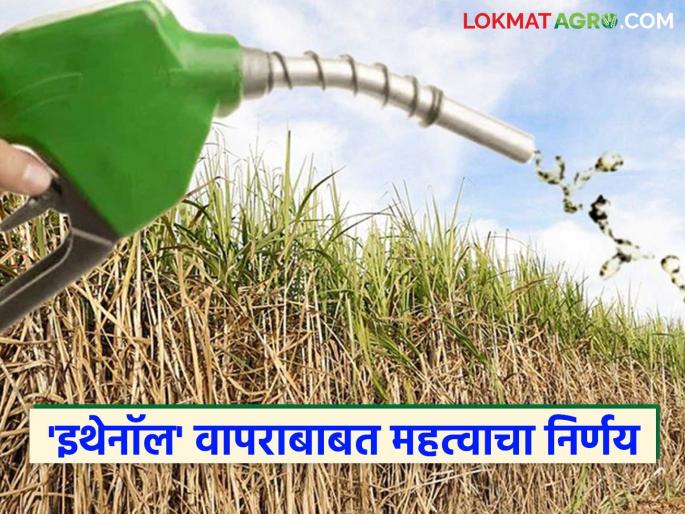 Supreme Court dismisses 'that' petition regarding ethanol; relief for 5 crore sugarcane farmers | इथेनॉल संबंधी 'ती' याचिका सर्वोच्च न्यायालयाने फेटाळली; ५ कोटी ऊस उत्पादक शेतकऱ्यांना दिलासा