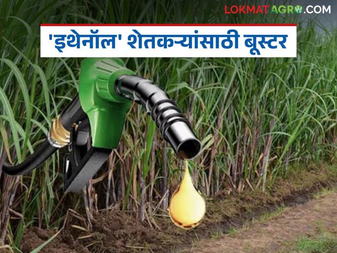 Sugarcane Ethanol : Blending ethanol in petrol will be a booster for sugarcane farmers | Sugarcane Ethanol : पेट्रोलमध्ये इथेनॉल मिश्रण ऊस उत्पादक शेतकऱ्यांसाठी ठरणार बूस्टर Sugarcane Ethanol : Blending ethanol in petrol will be a booster for sugarcane farmers | Sugarcane Ethanol : पेट्रोलमध्ये इथेनॉल मिश्रण ऊस उत्पादक शेतकऱ्यांसाठी ठरणार बूस्टर
