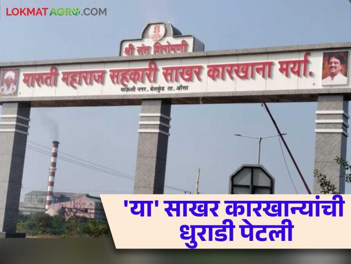 Sugar Factory: Crushing season begins in Ausa taluka; Smoke rises from 'these' sugar factories | Sugar Factory : औसा तालुक्यातील गाळप हंगाम सुरु; 'या' साखर कारखान्यांचे धुराडे पेटले Sugar Factory: Crushing season begins in Ausa taluka; Smoke rises from 'these' sugar factories | Sugar Factory : औसा तालुक्यातील गाळप हंगाम सुरु; 'या' साखर कारखान्यांचे धुराडे पेटले