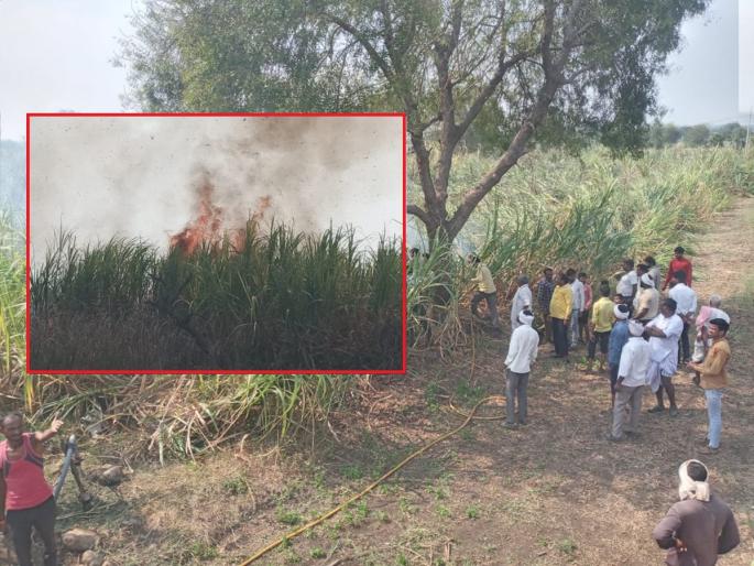 Crisis on farmers during Ain Rabi season; 5 acres of sugarcane burnt due to short circuit | ऐन रबी हंगामात शेतकऱ्यावर संकट; शॉर्टसर्किटमुळे ५ एकरांतील ऊस जळून खाक Crisis on farmers during Ain Rabi season; 5 acres of sugarcane burnt due to short circuit | ऐन रबी हंगामात शेतकऱ्यावर संकट; शॉर्टसर्किटमुळे ५ एकरांतील ऊस जळून खाक