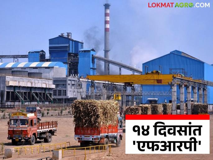 Sugarcane FRP: Sugar extraction will definitely be done at the end of the season; New circular of the Central Government | Sugarcane FRP : हंगामाच्या शेवटीच साखर उतारा होणार निश्चित; केंद्र सरकारचे नवीन परिपत्रक