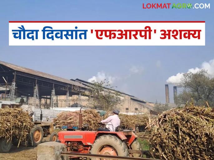 The sugar recovery will be decided only at the end of the season, so how can FRP be given within fourteen days as per the law? | हंगामाच्या शेवटीच उतारा निश्चित होणार मग कायद्यानुसार चौदा दिवसांत एफआरपी द्यायची कशी?