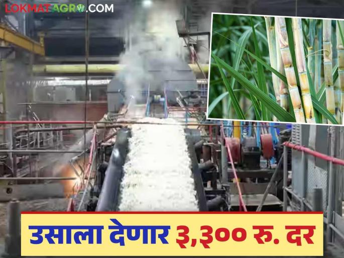 This new sugar factory started in the state; A lump sum rate of Rs 3,300 will be given to sugarcane this year | राज्यात सुरु झाला हा नवीन कारखाना; यंदा उसाला देणार ३,३०० रुपयांचा एकरकमी दर This new sugar factory started in the state; A lump sum rate of Rs 3,300 will be given to sugarcane this year | राज्यात सुरु झाला हा नवीन कारखाना; यंदा उसाला देणार ३,३०० रुपयांचा एकरकमी दर