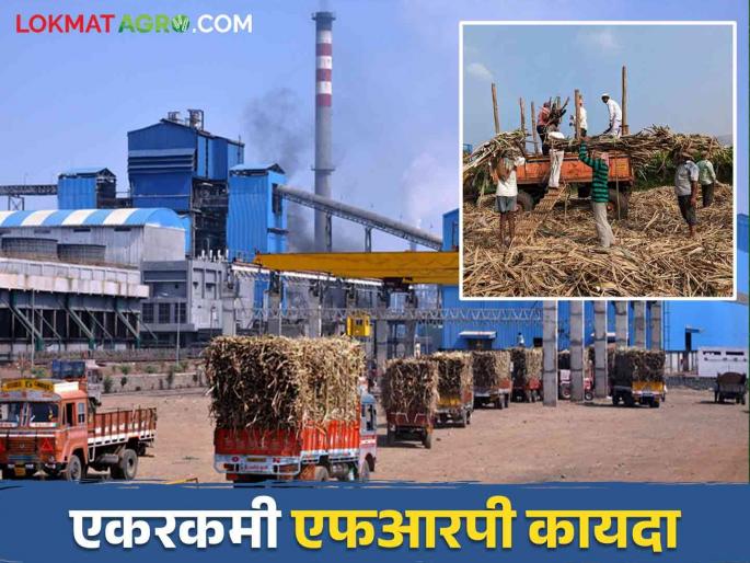 A major move to roll back the law of lump sum FRP as per Central Government's Sugar Cane Control Order | केंद्र सरकारच्या शुगर केन कंट्रोल ऑर्डरनुसार एकरकमी एफआरपीचा कायदा पूर्ववत करण्यासाठी मोठी हालचाल A major move to roll back the law of lump sum FRP as per Central Government's Sugar Cane Control Order | केंद्र सरकारच्या शुगर केन कंट्रोल ऑर्डरनुसार एकरकमी एफआरपीचा कायदा पूर्ववत करण्यासाठी मोठी हालचाल