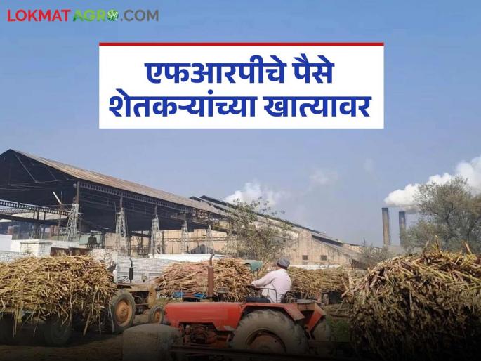 These four factories paid the FRP accounts of sugarcane producers within 15 days | १५ दिवसांत या चार कारखान्यांकडून ऊस उत्पादकांचा एफआरपीचा हिशोब चुकता These four factories paid the FRP accounts of sugarcane producers within 15 days | १५ दिवसांत या चार कारखान्यांकडून ऊस उत्पादकांचा एफआरपीचा हिशोब चुकता