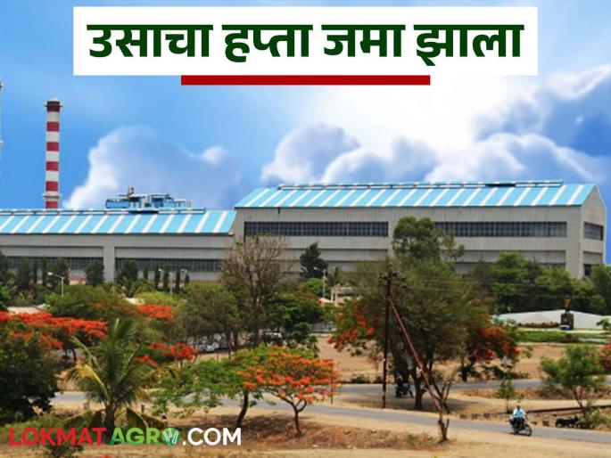 'This' sugar factory in Pune district will make Diwali sweet for farmers; Last installment of sugarcane deposited in account | पुणे जिल्ह्यातील 'हा' कारखाना शेतकऱ्यांची दिवाळी करणार गोड; उसाचा शेवटचा हप्ता खात्यावर जमा 'This' sugar factory in Pune district will make Diwali sweet for farmers; Last installment of sugarcane deposited in account | पुणे जिल्ह्यातील 'हा' कारखाना शेतकऱ्यांची दिवाळी करणार गोड; उसाचा शेवटचा हप्ता खात्यावर जमा