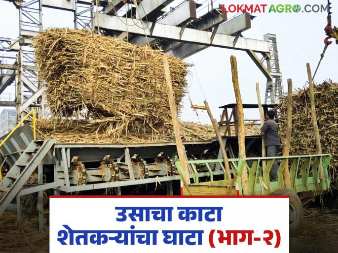 Is the game of politics being played through the sugarcane weight cutting fair? Read in detail | ऊस काटामारीच्या मेळातूनच खेळला जातोय का राजकारणाचा खेळ? वाचा सविस्तर