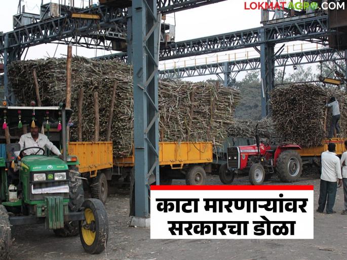 Factories found that are farmers sugarcane weight fraud; action will be taken soon | शेतकऱ्यांच्या उसाचा काटा मारणारे कारखाने शोधून काढले; लवकरच कारवाई करू Factories found that are farmers sugarcane weight fraud; action will be taken soon | शेतकऱ्यांच्या उसाचा काटा मारणारे कारखाने शोधून काढले; लवकरच कारवाई करू