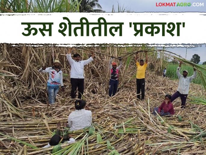Sugarcane Farming : 60 tons of sugarcane produced in 20 gunthas by farming with a stake share | Sugarcane Farming : वाट्याने शेती घेऊन २० गुंठ्यामध्ये ६० टन आडसाली उसाचे उत्पादन