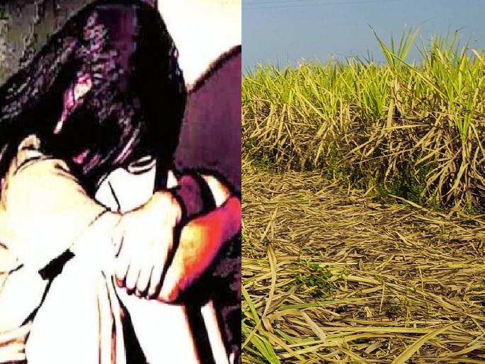 An acquaintance tried to rape a six year old girl by taking her to a sugarcane field in kolhapur | Kolhapur Crime: चिमुकलीला तुझ्या पप्पा'कडे सोडतो म्हणून घेवून गेला, अन् उसाच्या शेतात नेत अत्याचाराचा प्रयत्न केला