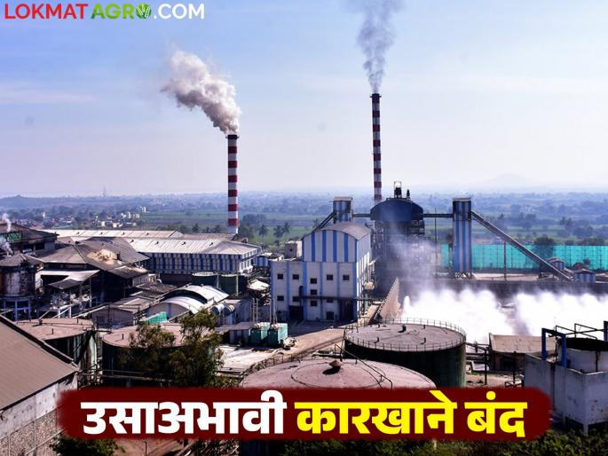 Out of the 200 sugar factories started in the state, how many factories stop the crushing? | राज्यात सुरू झालेल्या २०० साखर कारखान्यांपैकी किती कारखान्यांचा पट्टा पडला? Out of the 200 sugar factories started in the state, how many factories stop the crushing? | राज्यात सुरू झालेल्या २०० साखर कारखान्यांपैकी किती कारखान्यांचा पट्टा पडला?
