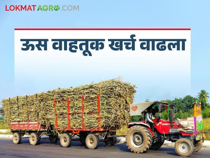 Sugar factories have a working area of 25 kilometers, so why are there more expenses for transportation? | साखर कारखान्यांना २५ किलोमीटरचे कार्यक्षेत्र मग वाहतुकीसाठी खर्च अधिक कसा?