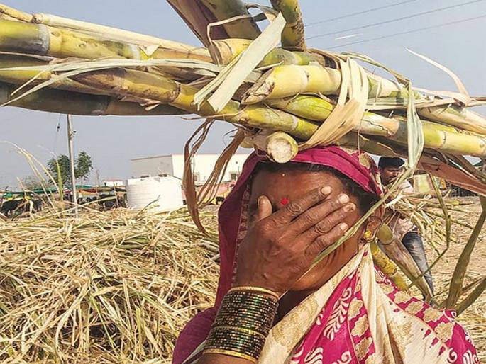 In Beed district, 4,000 women's abortion; Survey of 3,000 women | धक्कादायक... बीड जिल्ह्यामध्ये १३ हजार ऊसतोड महिलांच्या गर्भपिशव्या काढल्या!