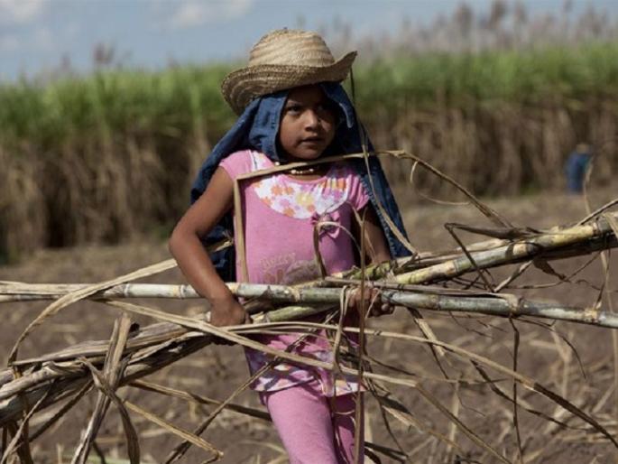 Do this for the children of sugarcane workers! | ऊसतोड कामगारांच्या मुलांसाठी एवढे करा! Do this for the children of sugarcane workers! | ऊसतोड कामगारांच्या मुलांसाठी एवढे करा!