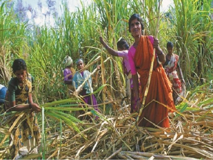 Health check up of sugarcane worker women before and after the season | ऊसतोडणीला जाण्यापूर्वी व नंतर महिलांची आरोग्य तपासणी 