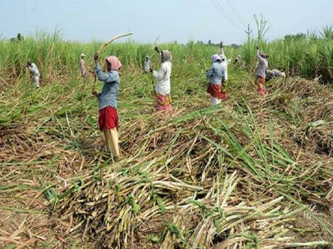 Health check up of 3,000 sugar factory worker women before going to labor work | ऊसतोडणीला जाण्यापूर्वीच ३ हजार कामगार महिलांची आरोग्य तपासणी Health check up of 3,000 sugar factory worker women before going to labor work | ऊसतोडणीला जाण्यापूर्वीच ३ हजार कामगार महिलांची आरोग्य तपासणी