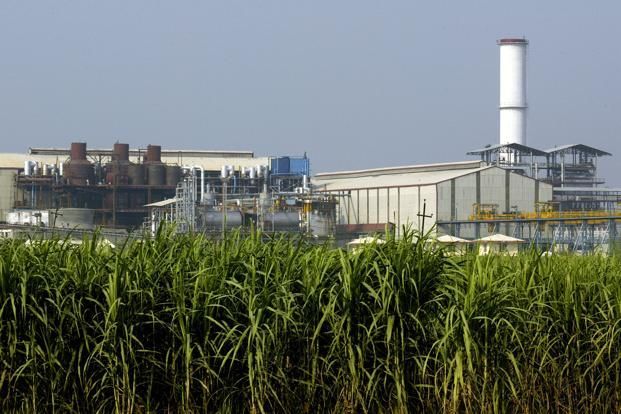 ‘Bitter story of sweet sugar’ in West Vidarbha; 11 sugar factories in liquidation | पश्चिम विदर्भात ‘गोड साखरेची कडू कहाणी’; ११ साखर कारखाने अवसायनात ‘Bitter story of sweet sugar’ in West Vidarbha; 11 sugar factories in liquidation | पश्चिम विदर्भात ‘गोड साखरेची कडू कहाणी’; ११ साखर कारखाने अवसायनात