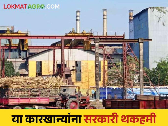 1,590 crore government guarantee for loan to selected 11 sugar mills in the state | राज्यातील निवडक ११ साखर कारखान्यांना १,५९० कोटींची सरकारी थकहमी 1,590 crore government guarantee for loan to selected 11 sugar mills in the state | राज्यातील निवडक ११ साखर कारखान्यांना १,५९० कोटींची सरकारी थकहमी