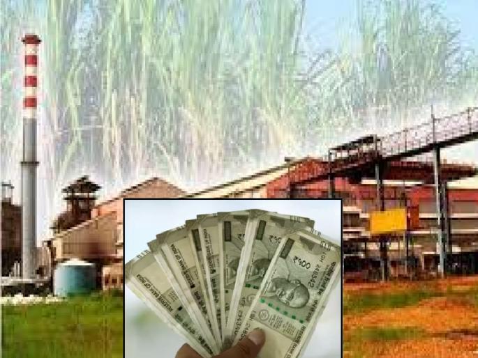 Even though it has been a month since the harvesting season of the factories, the factory administration has not paid the sugarcane bill to the farmers in sangli | कारखानदार जोमात, ऊस उत्पादक कोमात; थकीत बिलाने शेतकऱ्यांची कोंडी Even though it has been a month since the harvesting season of the factories, the factory administration has not paid the sugarcane bill to the farmers in sangli | कारखानदार जोमात, ऊस उत्पादक कोमात; थकीत बिलाने शेतकऱ्यांची कोंडी