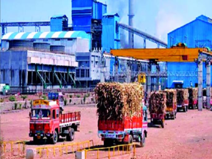 Sugarcane area decreases in Sangli district, industrialists are struggling to run the crushing season at full capacity | सांगली जिल्ह्यात उसाच्या क्षेत्रात घट, गळीत हंगाम पूर्ण क्षमतेने चालवताना कारखानदारांची दमछाक Sugarcane area decreases in Sangli district, industrialists are struggling to run the crushing season at full capacity | सांगली जिल्ह्यात उसाच्या क्षेत्रात घट, गळीत हंगाम पूर्ण क्षमतेने चालवताना कारखानदारांची दमछाक