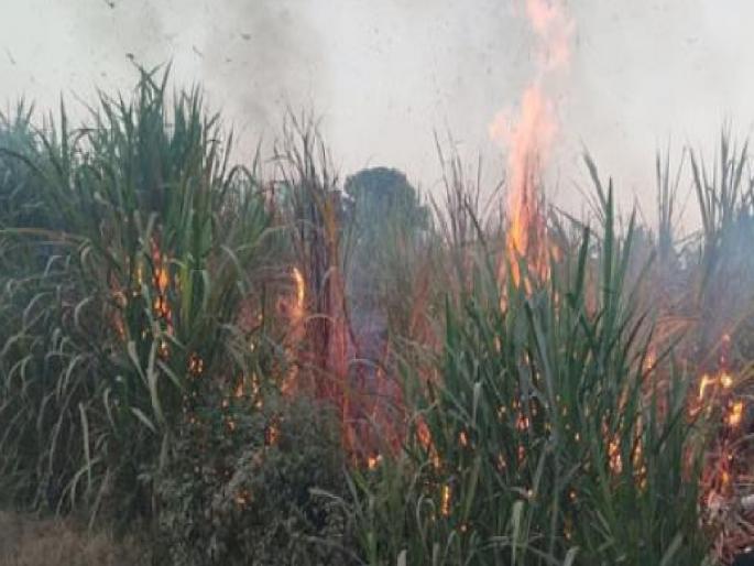 Two acres of sugarcane burnt in fire in Koregaon due to crackers | Satara: फटाक्यांनी केला घात; कोरेगावात आगीमध्ये दोन एकर ऊस जळून खाक 