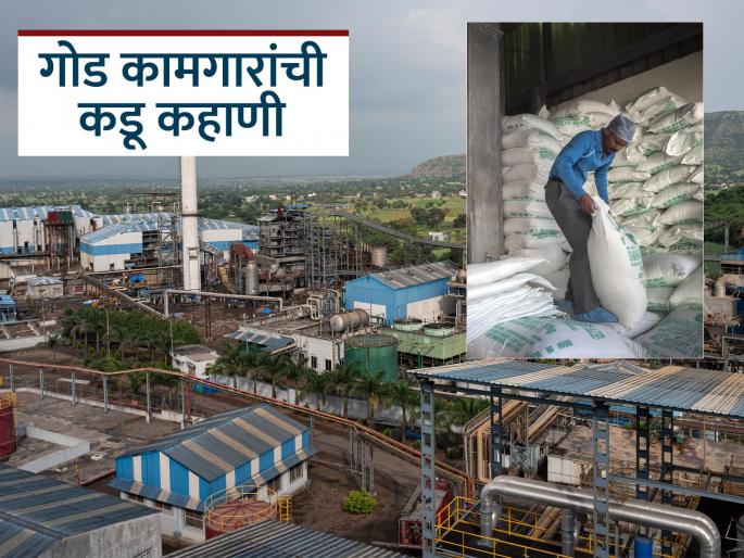 Maharashtra State Sugar Workers' Camp at Panhala in Kolhapur from Tomorrow Need to Resolve Pending Demands | 'साखर कामगाराचे' आयुष्य कडवटच; दोन-दोन वर्षे पगाराविना संसार उघड्यावर