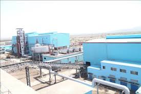 Former banker responsible for overdue loans is responsible | थकीत कर्जाला बॅँकेचे माजी संचालक जबाबदार