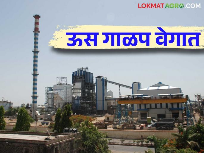 Seven sugar factories started in Pune district how much sugarcane crushing from Someshwar sugar factory | पुणे जिल्ह्यात सात साखर कारखाने सुरु; सोमेश्वरने केली किती गाळप वाचा सविस्तर Seven sugar factories started in Pune district how much sugarcane crushing from Someshwar sugar factory | पुणे जिल्ह्यात सात साखर कारखाने सुरु; सोमेश्वरने केली किती गाळप वाचा सविस्तर