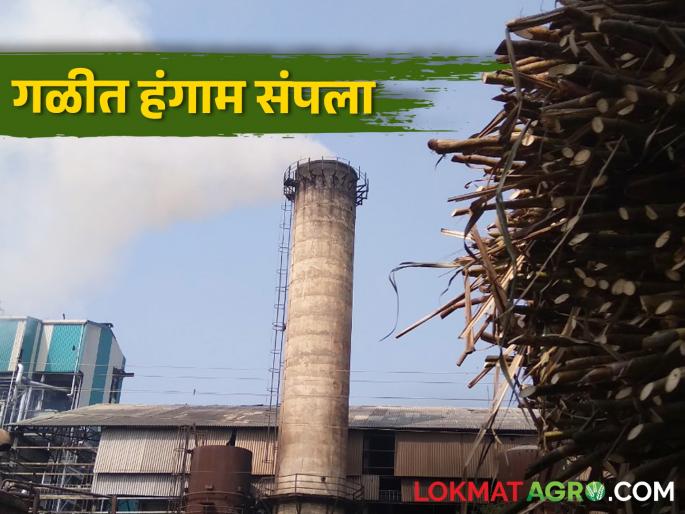 The season of factories in Sangli district is over, so many tons of silage have been produced in the district | सांगली जिल्ह्यात कारखान्यांचा हंगाम संपला, जिल्ह्यात झाले इतके टन गाळप The season of factories in Sangli district is over, so many tons of silage have been produced in the district | सांगली जिल्ह्यात कारखान्यांचा हंगाम संपला, जिल्ह्यात झाले इतके टन गाळप