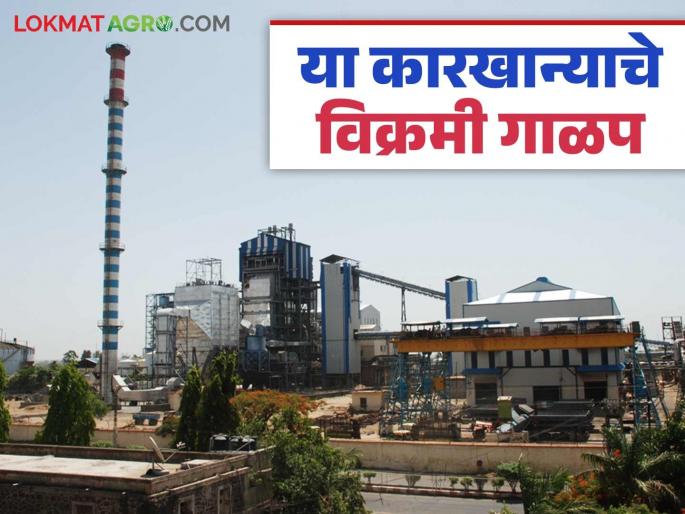 The factory that pays the highest price in Maharashtra produces 9 lakh 88 thousand quintals of sugar bags in 93 days | महाराष्ट्रात सर्वात जास्त दर देणाऱ्या कारखान्याचे ९३ दिवसांत ९ लाख ८८ हजार क्विंटल साखर पोत्यांचे उत्पादन The factory that pays the highest price in Maharashtra produces 9 lakh 88 thousand quintals of sugar bags in 93 days | महाराष्ट्रात सर्वात जास्त दर देणाऱ्या कारखान्याचे ९३ दिवसांत ९ लाख ८८ हजार क्विंटल साखर पोत्यांचे उत्पादन