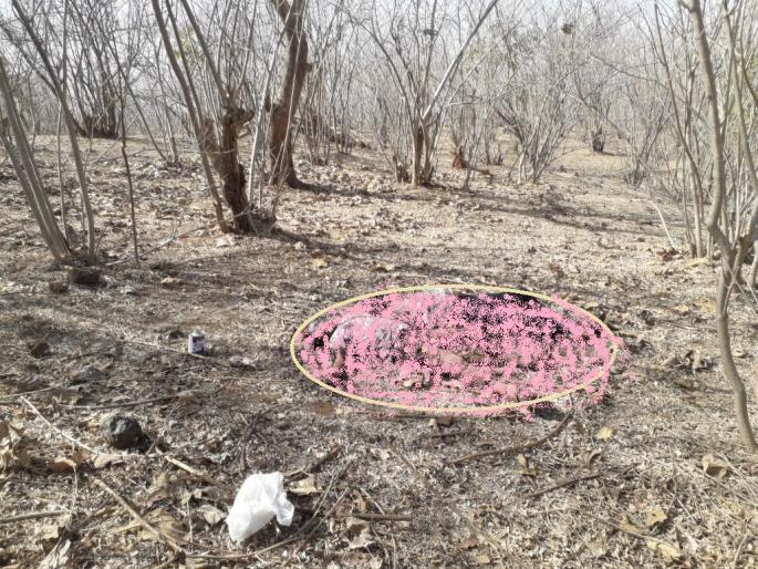 Shocking ! father's suicide with son and daughter in tension | धक्कादायक ! तणावातून पित्याची मुला-मुलीसह सामुहिक आत्महत्या Shocking ! father's suicide with son and daughter in tension | धक्कादायक ! तणावातून पित्याची मुला-मुलीसह सामुहिक आत्महत्या