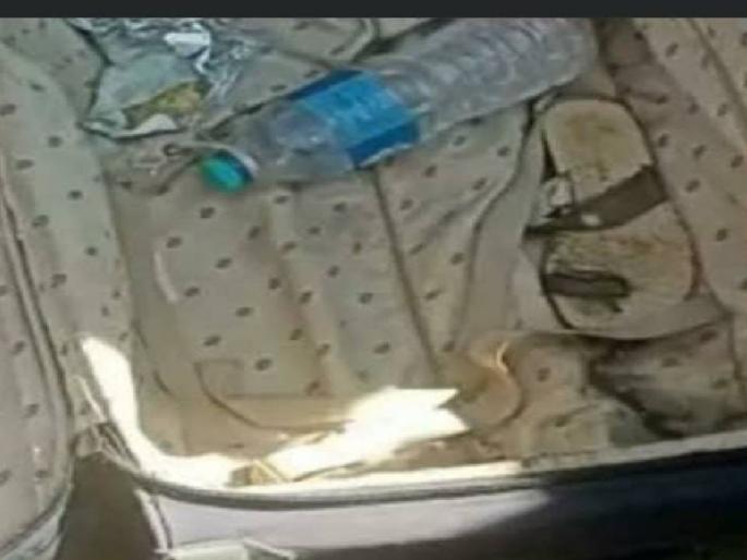 The movement began in a completely unattended suitcase; When opened it, people were shocked | बापरे! भररस्त्यात बेवारस सूटकेसमध्ये सुरु होती हालचाल; उघडून पाहताच सगळेच झाले थक्क The movement began in a completely unattended suitcase; When opened it, people were shocked | बापरे! भररस्त्यात बेवारस सूटकेसमध्ये सुरु होती हालचाल; उघडून पाहताच सगळेच झाले थक्क