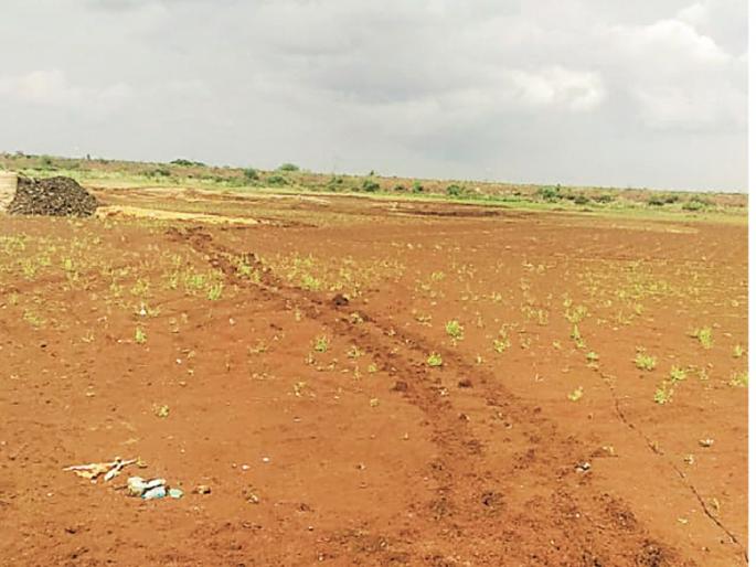 Demand for Jayakwadi water to be brought to Sukhna dam and pond in the area | जायकवाडीचे पाणी सुखना धरण आणि परिसरातील तलावात आणण्याची मागणी Demand for Jayakwadi water to be brought to Sukhna dam and pond in the area | जायकवाडीचे पाणी सुखना धरण आणि परिसरातील तलावात आणण्याची मागणी