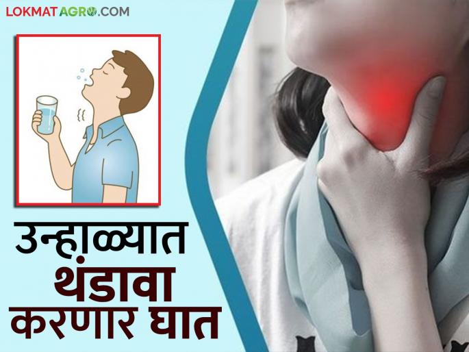 Drinking very cold water in summer can damage your throat; how to take care of it? | उन्हाळ्यात अतिथंड पाणी पिल्याने घशाला होतेय इजा; कशी घ्याल काळजी?